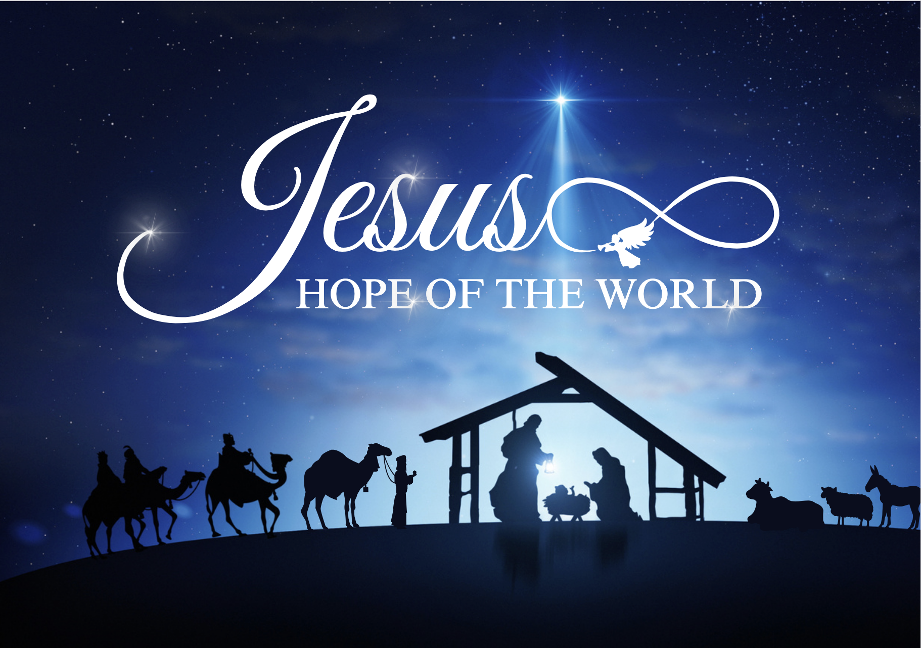 New TY ABI Post Cards-6